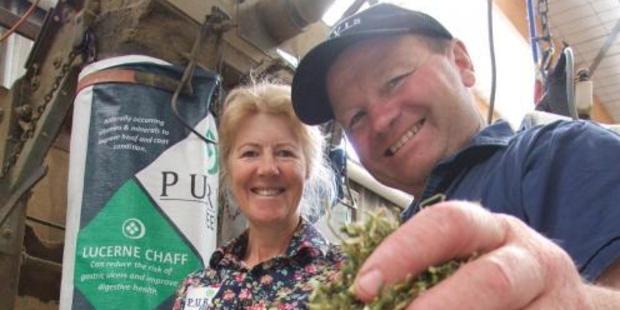 Henrietta and Graeme Purvis, of Purvis Feeds, at Waianakarua, with their lucerne chaff. Photos: Sally Rae