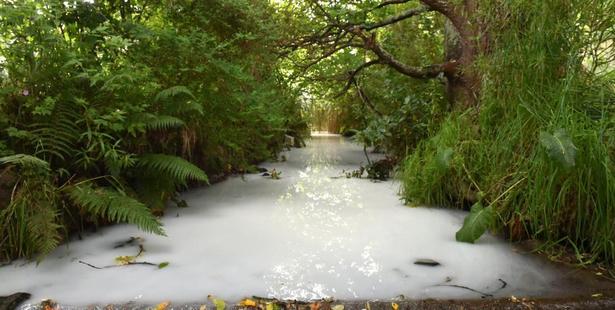 Paint has run through the Kaikorai Stream for the third time in two years.