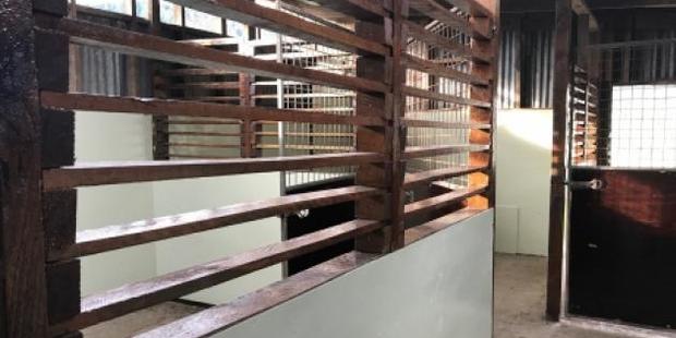 A growing number of deer farmers are upgrading their sheds so velvet is harvested, handled and stored in a clean environment. Photo: Supplied