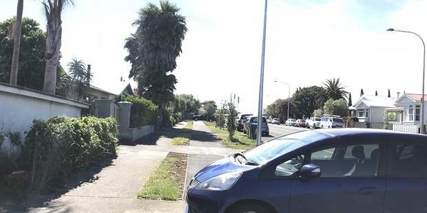 THE NEW CYCLEWAY ON OLD MILL ROAD HAS BEEN PUT ALONG THE MIDDLE OF THE BERM. TWO CARS IN THIS PHOTO ARE PARKED OVER THE CYCLEWAY.