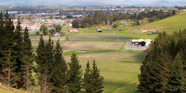 Forestry, wine and pipfruit are the latest sectors to have overseas investment in Hawke's Bay.