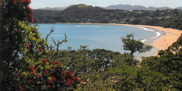 Cooper's Beach, Northland. Photo / File