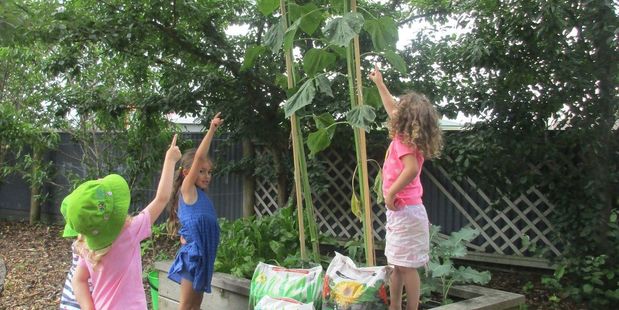 Frankton Kindergarten Kids point to their winning sunflower. It grew to be the tallest sunflower in the country, and in the project's history. Photo / Supplied