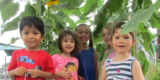 Frankton Kindergarten Kids with their sunflowers. Photos / Supplied