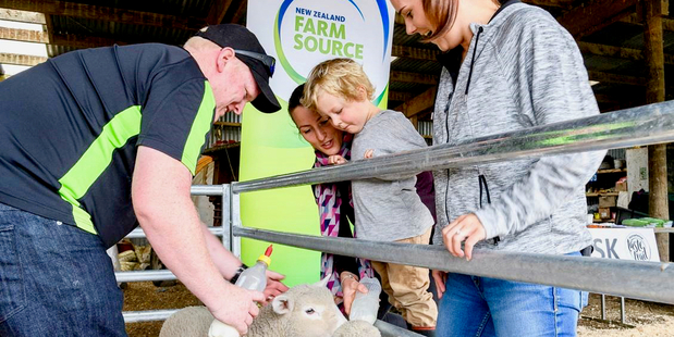 Geoff Orange, of the Feilding Farm Source store (and also son-in-law of the farm's owner), shows visitors to Takapu Farm how to feed the lambs. Photo / Ivor Earp-Jones