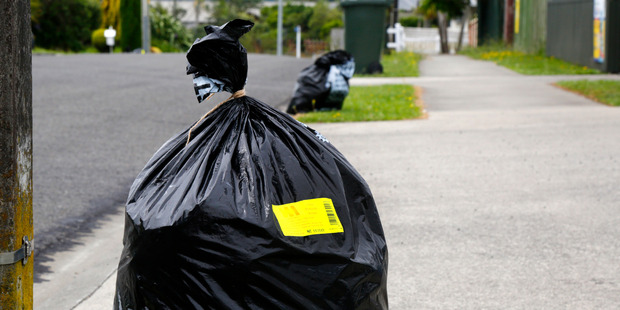 The council will gauge what public support it has for getting back into waste collection. Photo / Bevan Conley