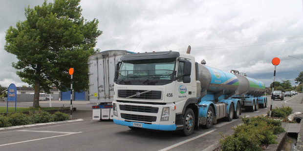 Fonterra has been involved in Mycoplasma bovis testing. Photo / File