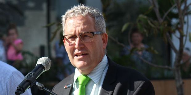 Hamilton Mayor Andrew King. Photo / Tom Rowland