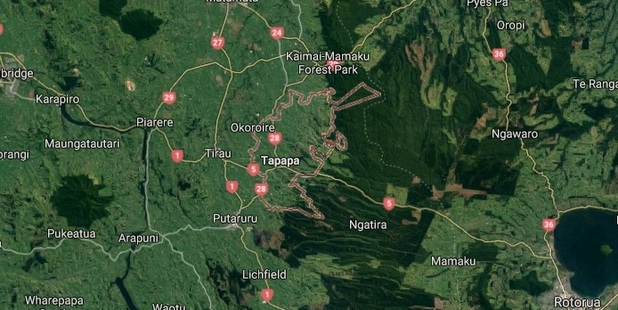The crash happened in Tapapa in the vicinity of the intersection of Harwoods Rd and State Highway 5. Map / Google Maps