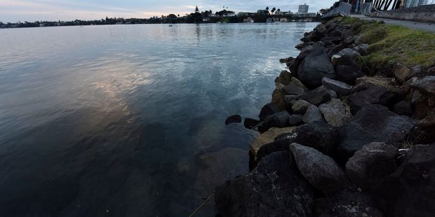 Oil in the water near the Matapihi Rail Bridge. Photo / George Novak