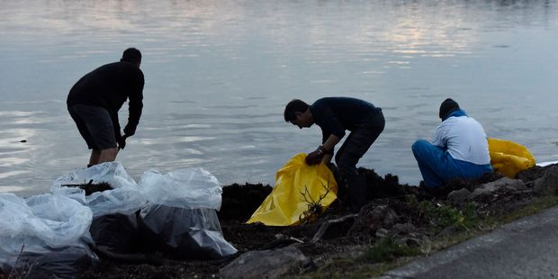 Workers battled to beat the fading light in the oil clean-up. Photo / George Novak