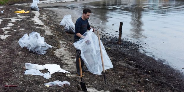 Workers clean up spilled oil at Tauranga Harbour. Photo / George Novak