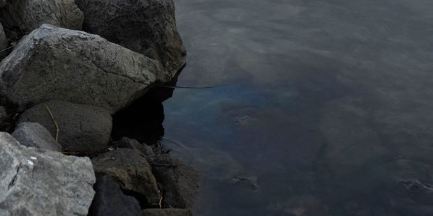 Oil in the water near the Matapihi Rail Bridge. Photo / George Novak