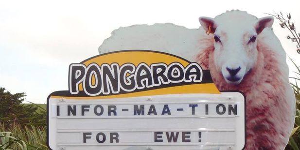 Pongaroa has another boil water notice is in place, with E. coli detected in the supply. But a new $600,000 treatment plant may end the water woes. Photo / Christine McKay