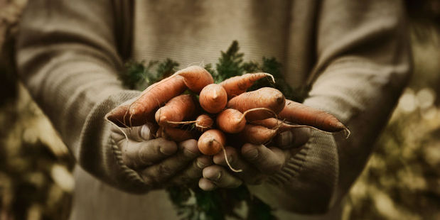Around 80 per cent of New Zealanders now purchase organic products at least fortnightly. Photo/123RF.