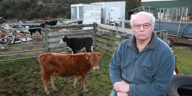 Pongaroa farmer David Vitsky is upset about the castration of his bulls. PHOTO/DUNCAN BROWN