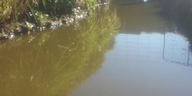 An effluent leak was found last week into this open ditch which leads to the Opio Stream, Southland. Photo / Supplied