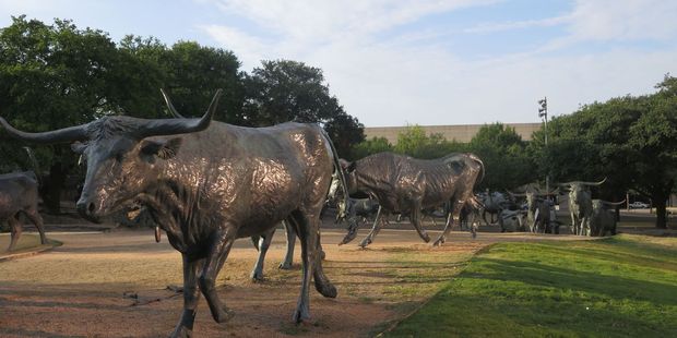 The highlight of Pioneer Plaza is the spectacular re-creation of a cattle-drive in bronze.