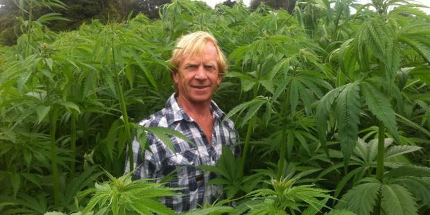 Dave Jordan, founder of Hemp Farm NZ. Photo / Supplied
