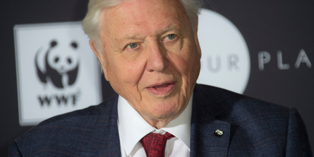 Sir David Attenborough believes civilisations will collapse if we don't take action on climate change. Photo / AP