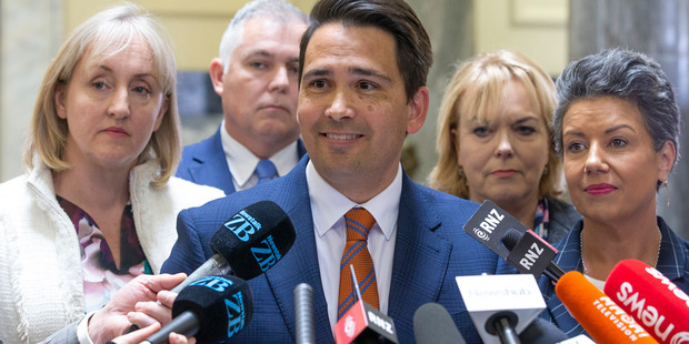 For most of the year, especially during the Jami-Lee Ross scandal, his party has appeared united behind Bridges. Photo / Mark Mitchell