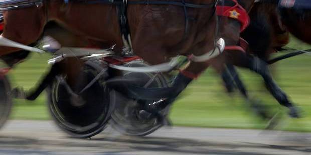 A total of 13 harness racing figures have so far appear in court after being caught up in the 18-month Operation Inca race-fixing investigation.