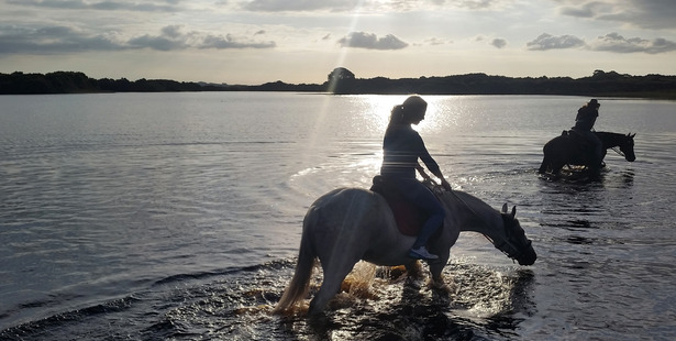A reader hopes people can keep their horses out of Far North lakes like Lake Rotopokaka.