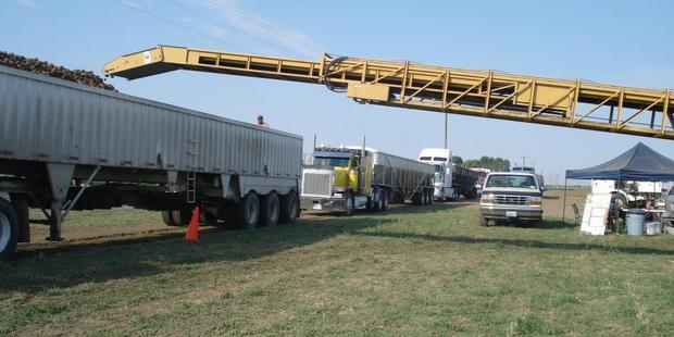 Potatoes are transferred into an 18-wheeler semi truck, with more queuing behind it. Photo / Supplied
