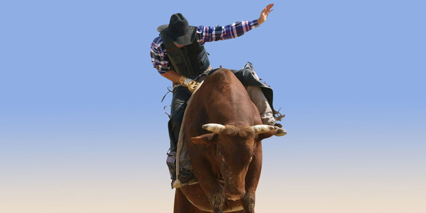 Rodeo is on the way out. It's on the wrong side of history. Photo / 123RF