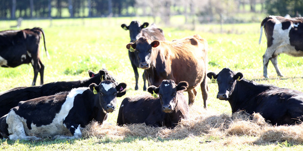 The Production Worth, or PW, is an economic index that helps farmers identify their top performers.