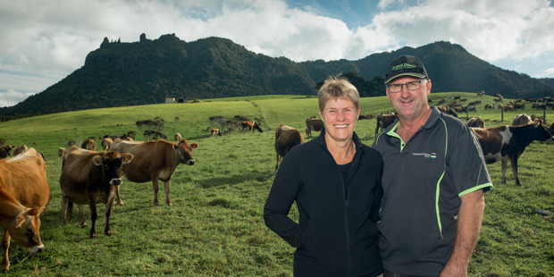Murray Jagger, pictured with his wife Helen on their Whangarei Heads farm, is running for the Beef and Lamb New Zealand directorship election in the Northern North Island district.