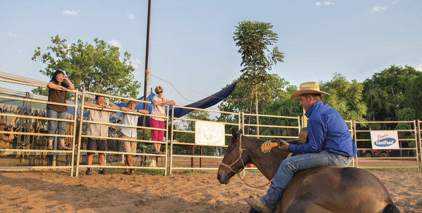 Katherine Outback Experience Tour at Riverboyne Horsebreaking and Training gets rave reviews.