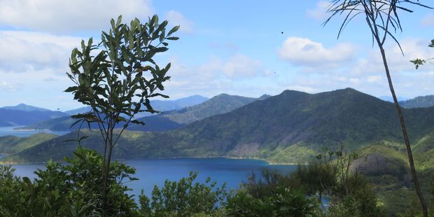Magnificent views across Queen Charlotte