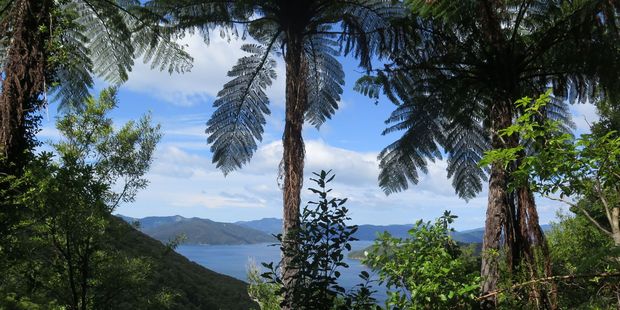 Queen Charlotte Track