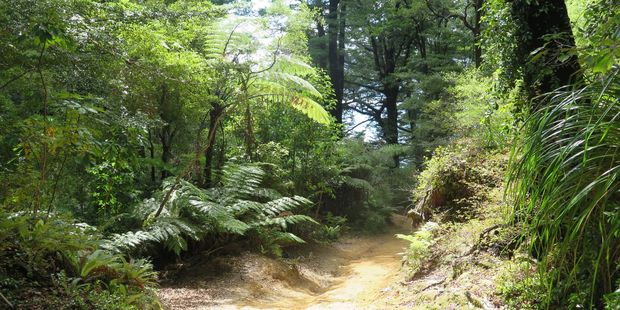 Striking out on the Queen Charlotte Sound track