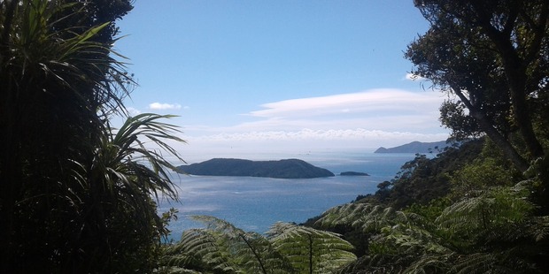 View from Tawa Saddle