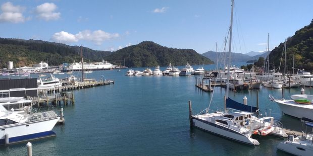 Picton marina