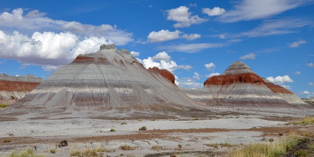 Petrified Forest.