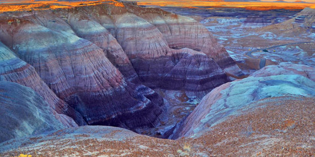 Petrified Forest National Park.