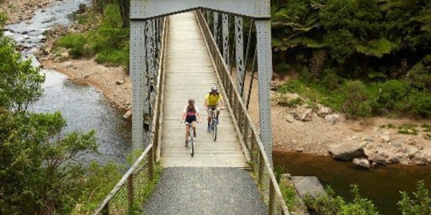 Rail bridge on the Hauraki Rail Trail
