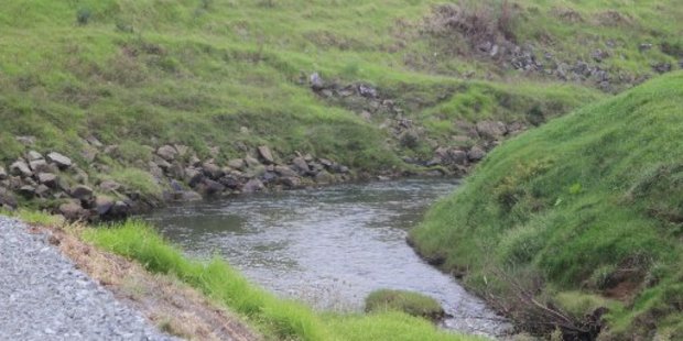 The Awanui River where it enters Kaitaia
