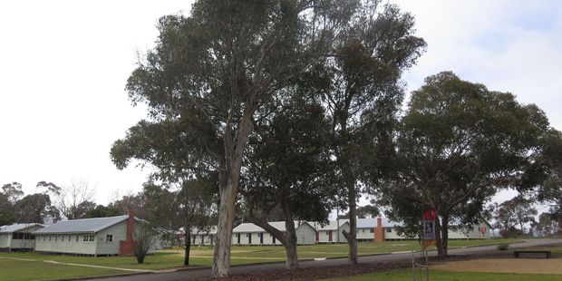 Bonegilla Migrant Experience.