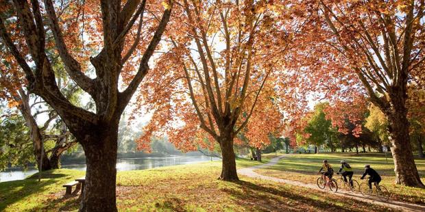 Norieul Park, Albury.