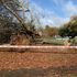 'It was devastating': Witnesses tell of tragedy as toppled tree crushes woman
