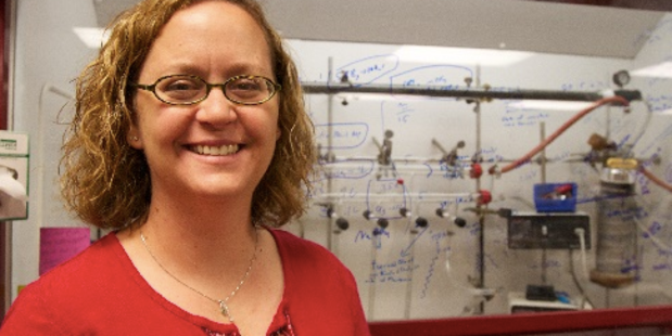 Colorado State University's Professor Amy Prieto will be sharing her insights into next-generation battery technology at this week's summit. Photo / Supplied