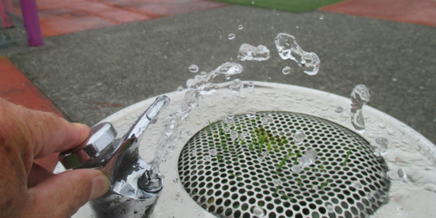 This playground drinking fountain in the 'greater Wellington region' was found with grass growing out of its drainage sink. Photo/Supplied